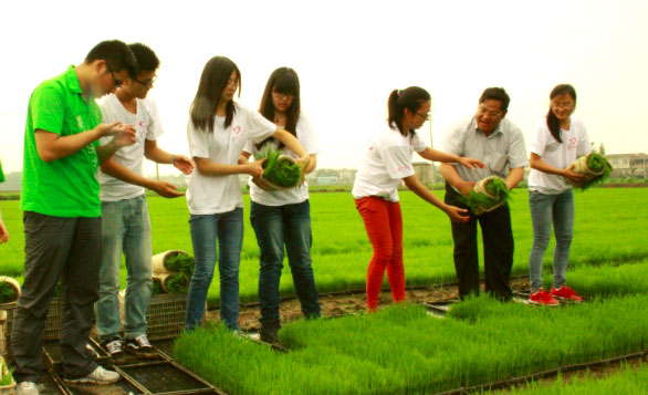 ��ꎎ����W(xu��)Ժ���Gɫ���ۡ����`�־Ը����ˮ�����g�M���w�ʽ������