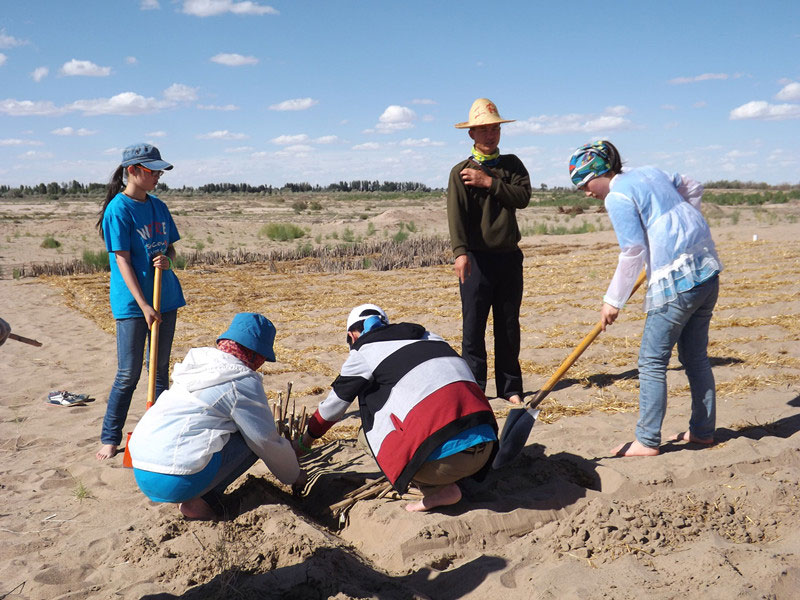 �@�N1.5��Ҋ�������ݸ�������ɳЧ����������^4��5���͕�(hu��)�L(f��ng)�g��������Ҫ�����a(b��)����