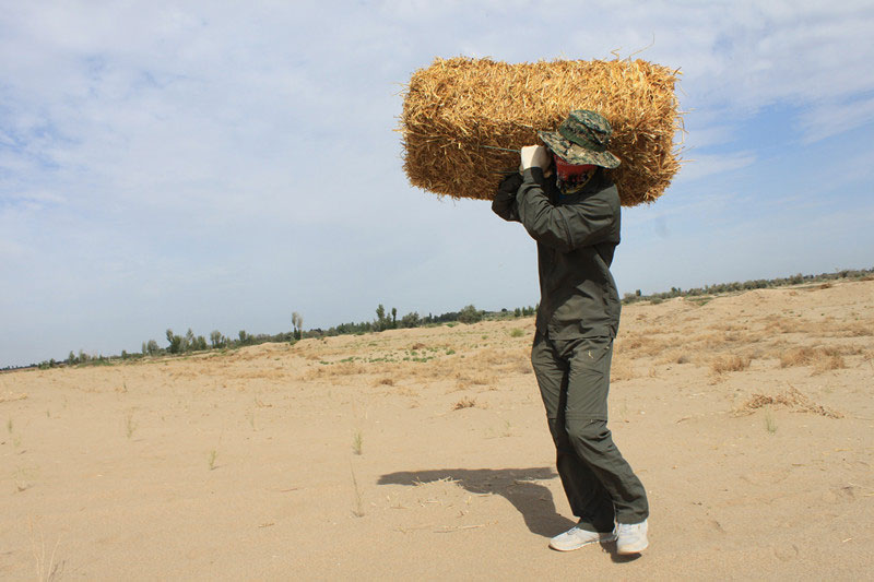 �F�T���i�������ݣ����ϳ����ģ����������؟(z��)����