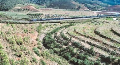 中老鐵路上的“護象人”